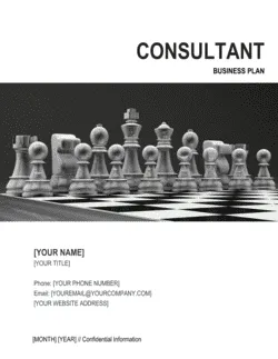 Consultant Business Plan