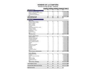 Previsión de flujo de caja - Trimestral