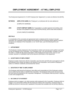 Employment Agreement_At Will Employee