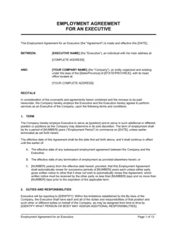 Employment Agreement Executive with Car Allowance