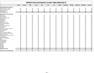 Auwertung des Familienbudgets