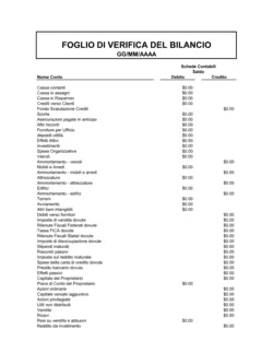 Foglio di verifica del bilancio