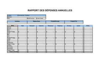 Rapport des dépenses annuelles Vendeurs