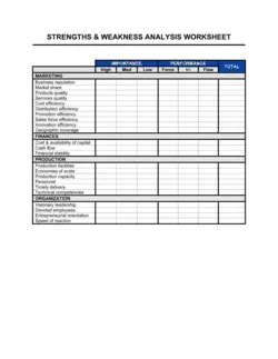 Worksheet_Strengths & Weaknesses Analysis