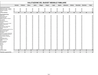 Valutazione del budget familiare