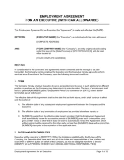 Employment Agreement Executive2