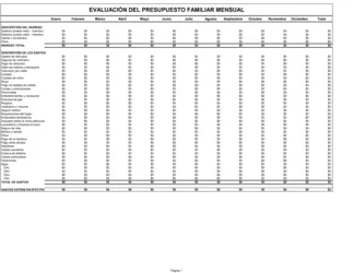 Evaluación de presupuesto familiar