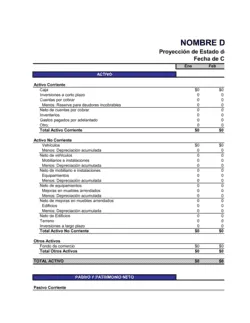 Estado de situación patrimonial - Mensual