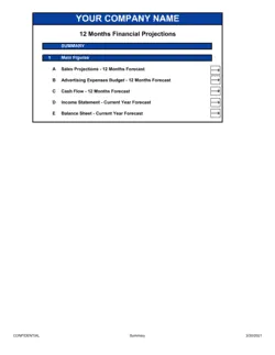 Financial Projections_12 Months