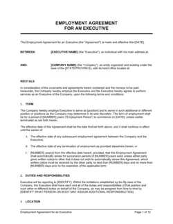 Employment Agreement Executive