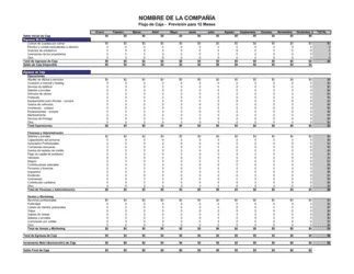 Previsión de flujo de caja - Mensual